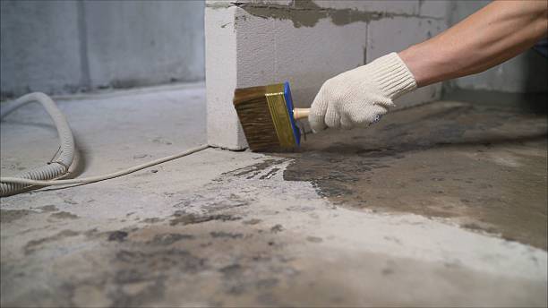 24/7 Emergency Wet Basement Repair experts in Benton Harbor, MI